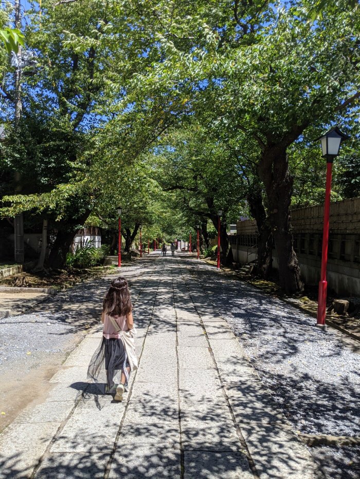 駅からの参道はシンプルだけど画になります